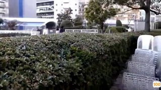 嗯啊厨房呻吟闺蜜H时尚美女约到酒店各种姿势抽插